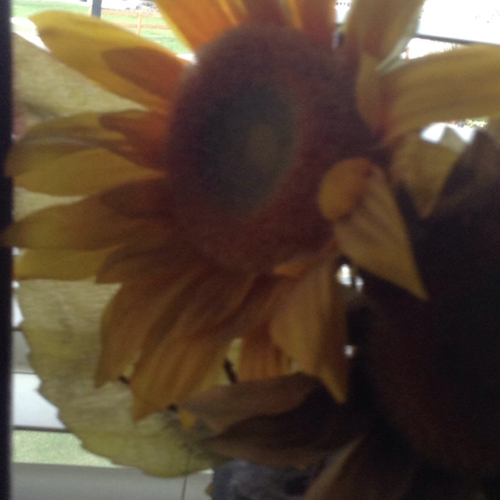 Meet your Posher, Itzanami